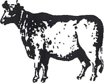 ゴオウ（ウシ）